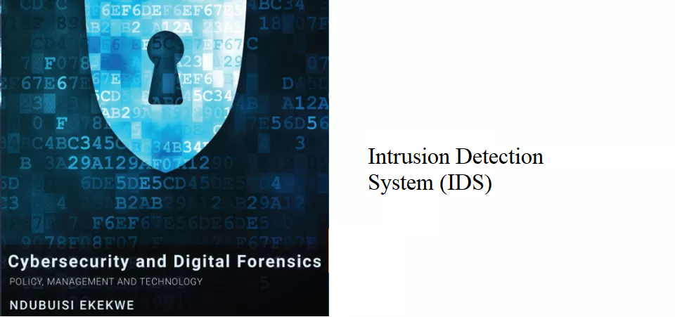11 0 Intrusion Detection System Ids Tekedia 11 0 Intrusion Detection System Ids Tekedia