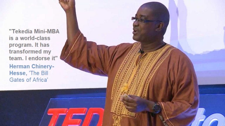 Tech Legend, Herman Chinery-Hesse, Endorses Tekedia MinI-MBA for African Youth [Video]