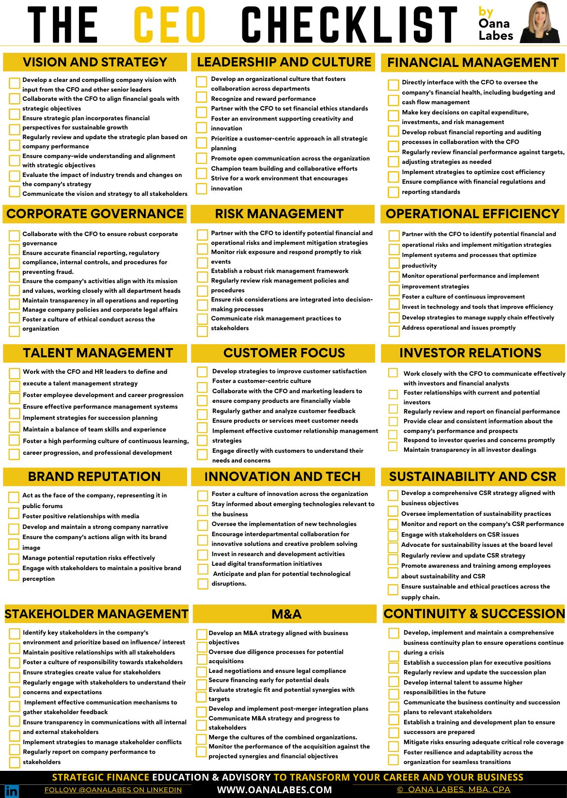 The CEO Checklist The CEO Checklist Tekedia Forum Tekedia